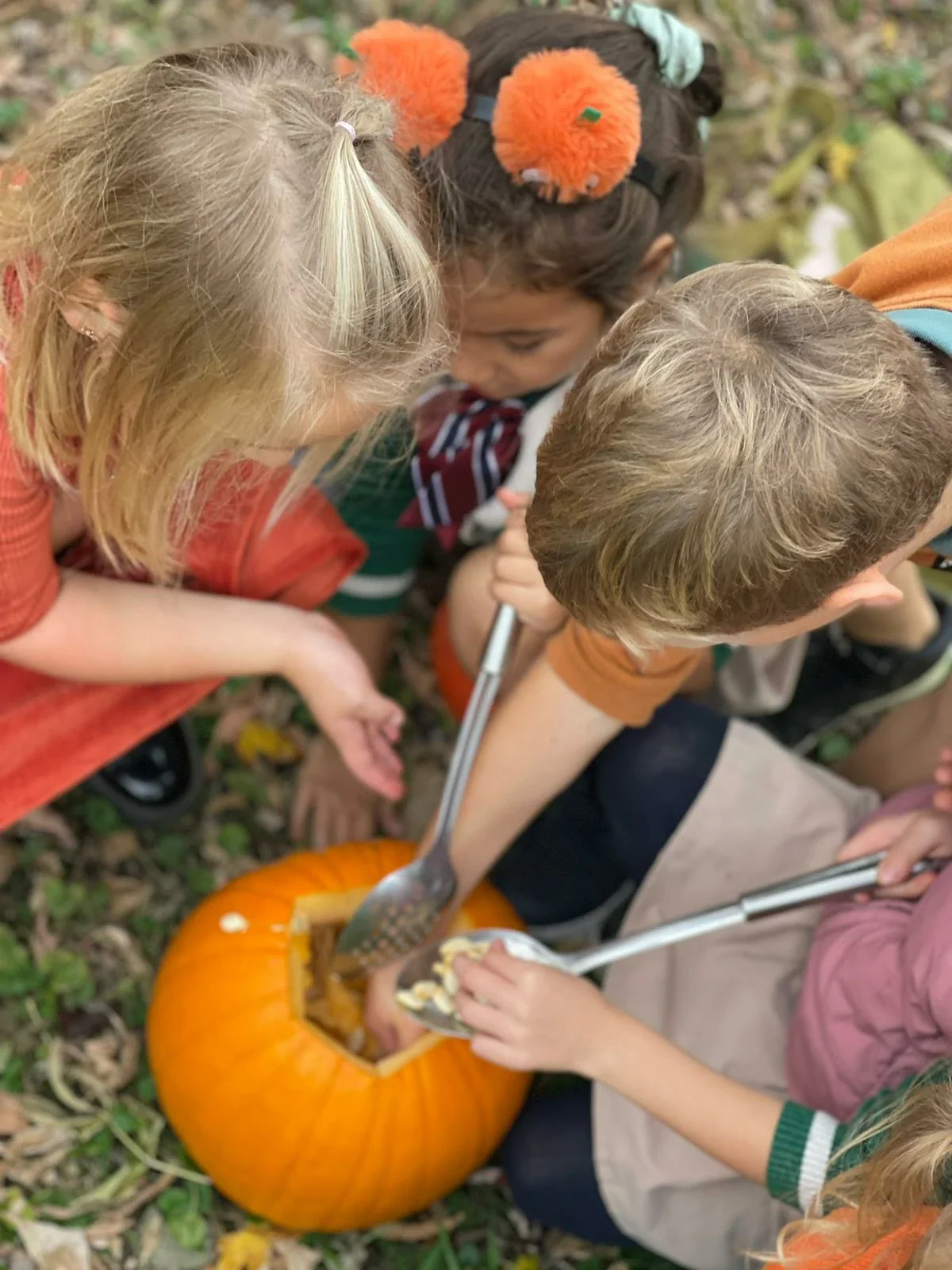 alderwood-academy-produce-orange-pumpkin-vegetable-child