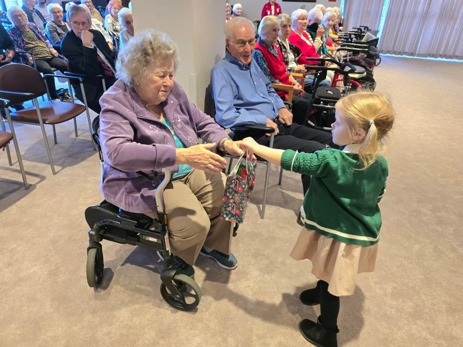 alderwood-academy-wheelchair-furniture-chair-sitting-retirement-home